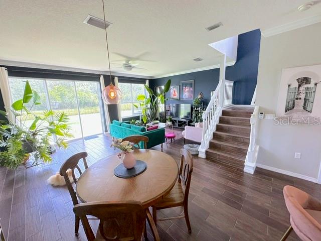 11641 DECLARATION DR, TAMPA, FL, 33635