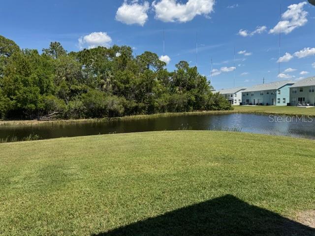 11641 DECLARATION DR, TAMPA, FL, 33635