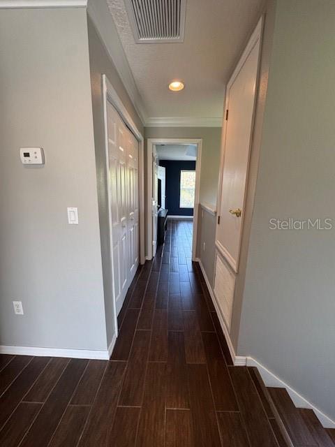 11641 DECLARATION DR, TAMPA, FL, 33635