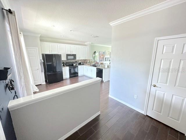 11641 DECLARATION DR, TAMPA, FL, 33635