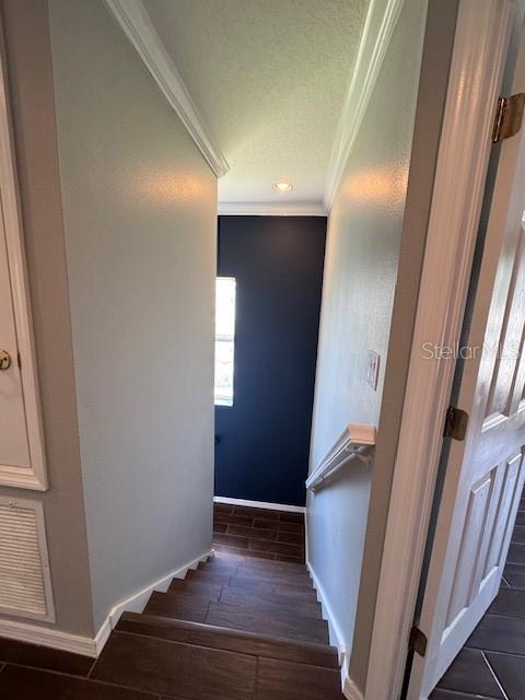 11641 DECLARATION DR, TAMPA, FL, 33635