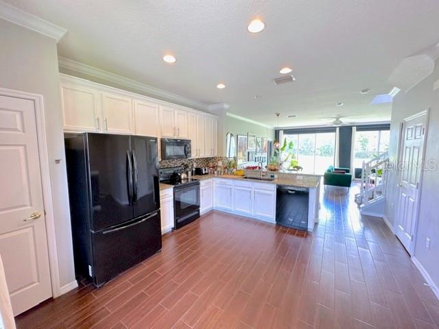 11641 DECLARATION DR, TAMPA, FL, 33635