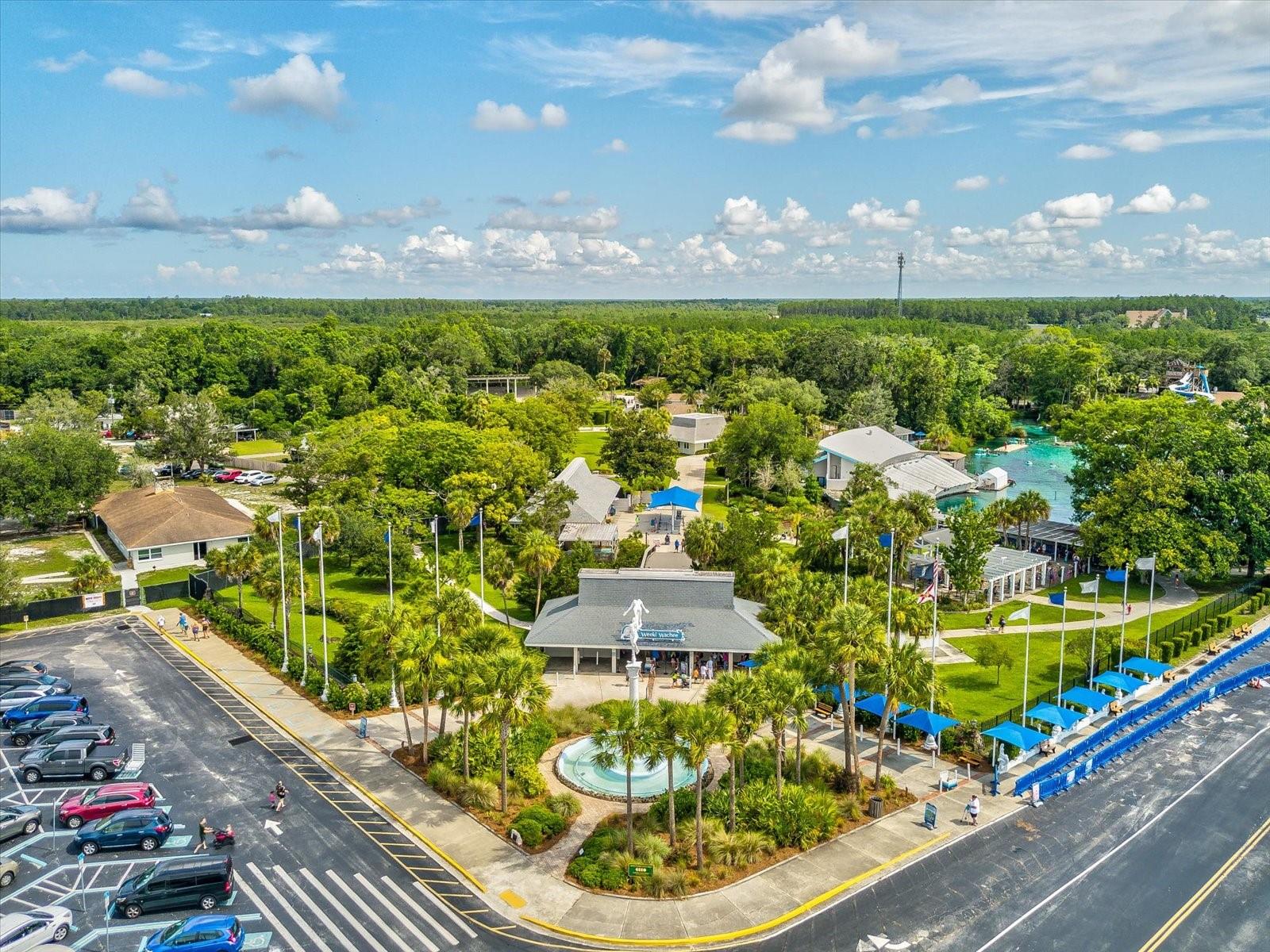 3215 HIBISCUS DR, HERNANDO BEACH, FL, 34607