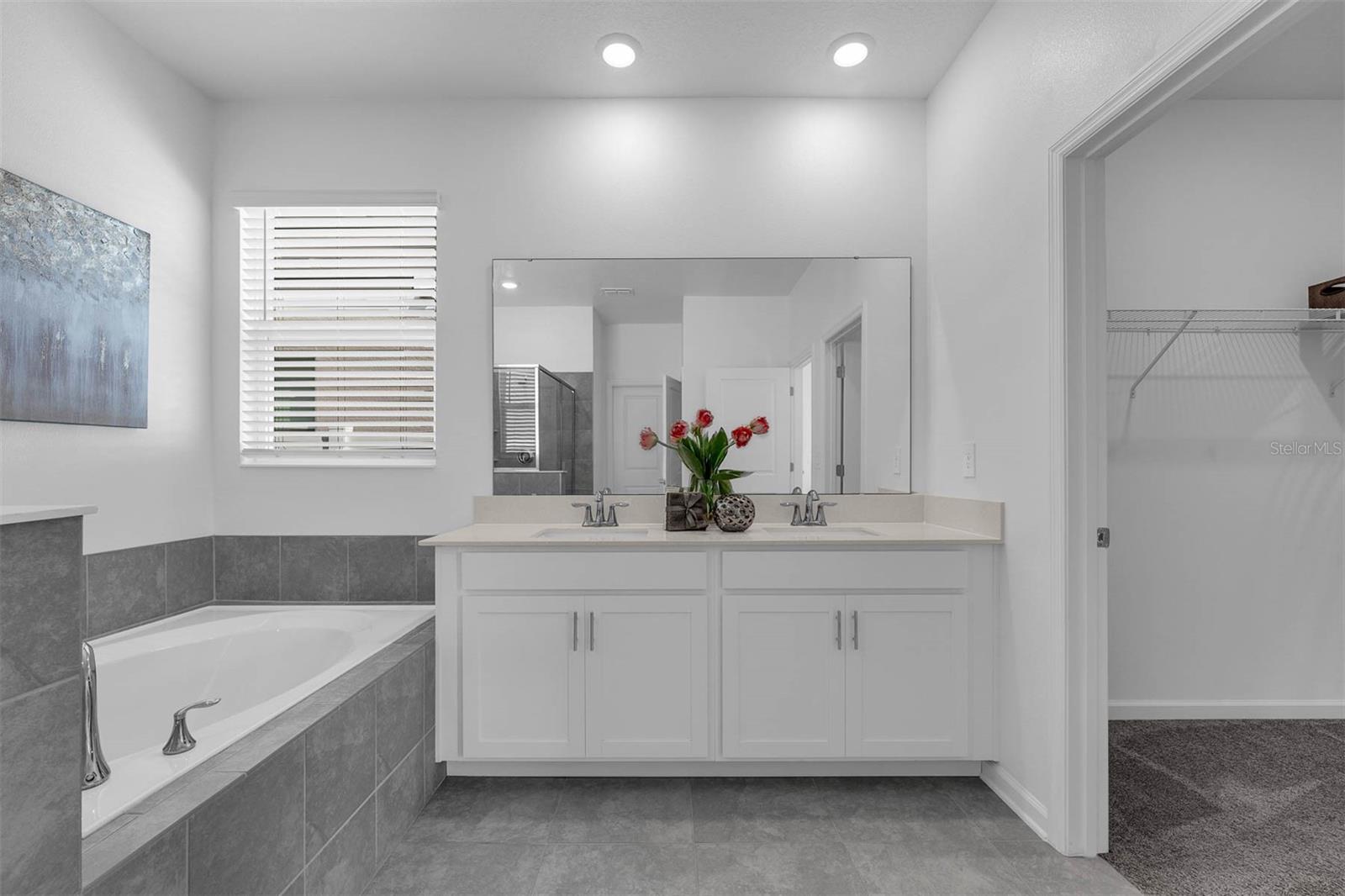 10151 SALT POINT DR, WINTER GARDEN, FL, 34787