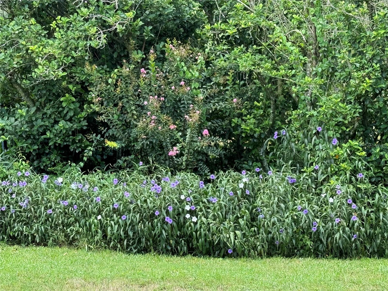 5914 WRENWATER DR, LITHIA, FL, 33547