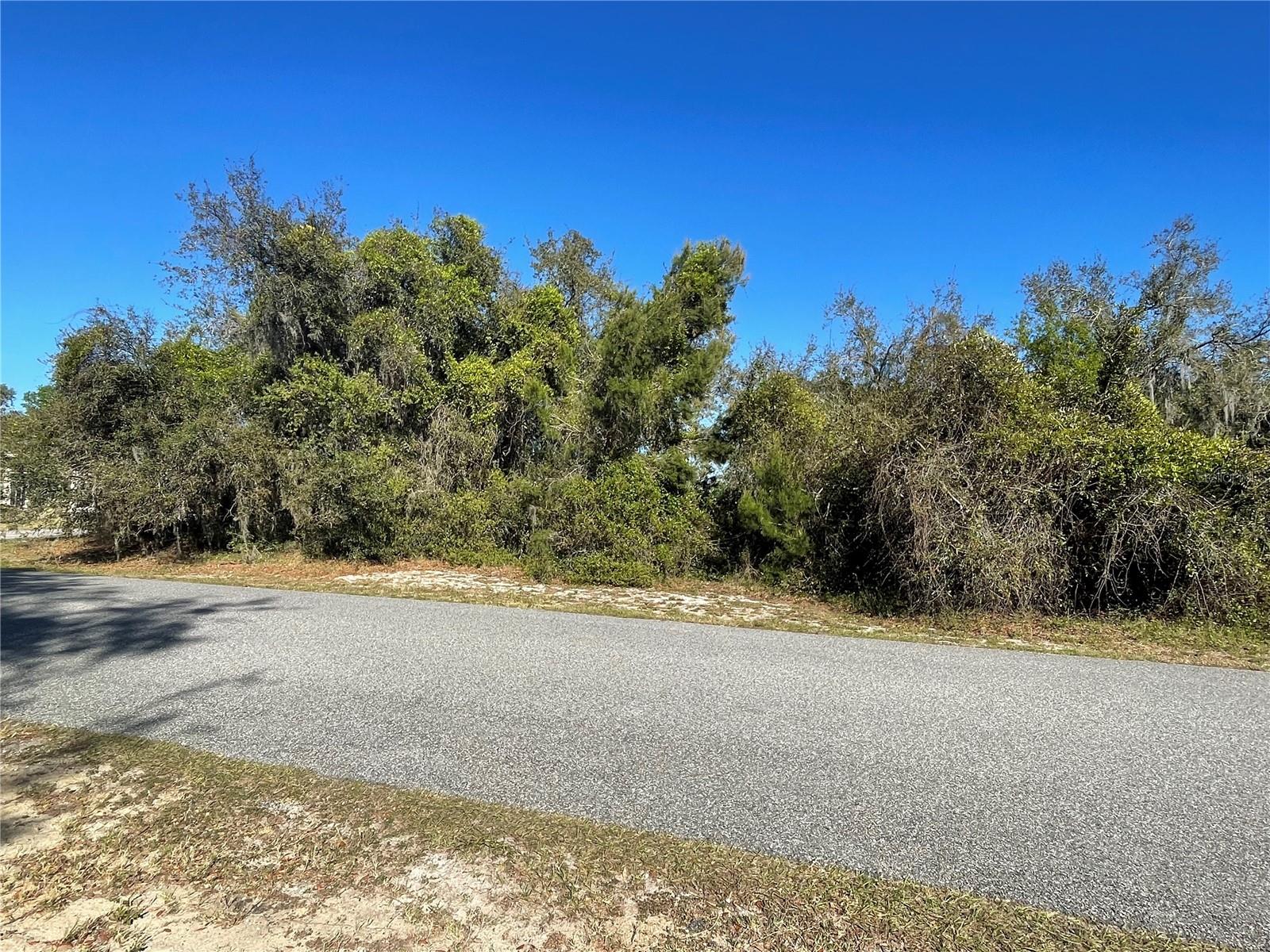 9041 S BAY DR, HAINES CITY, FL, 33844