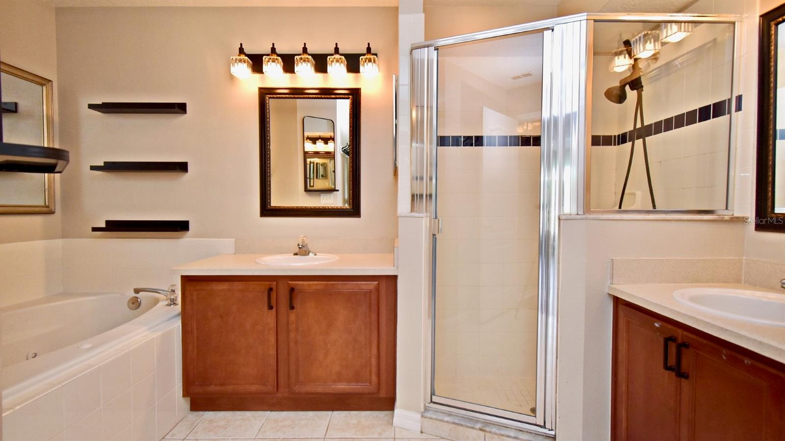 117 LAKE EMMA COVE DR, LAKE MARY, FL, 32746