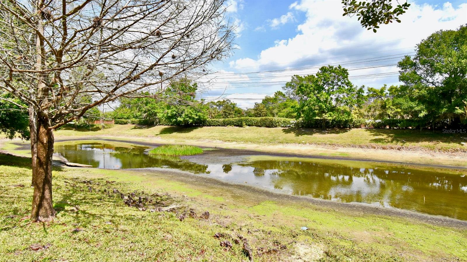 117 LAKE EMMA COVE DR, LAKE MARY, FL, 32746