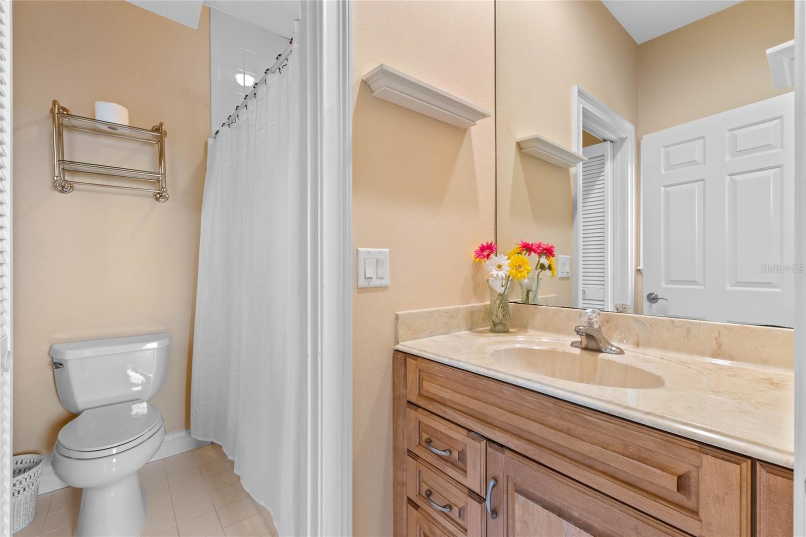 1417 OLYMPIA AVE, MOUNT DORA, FL, 32757