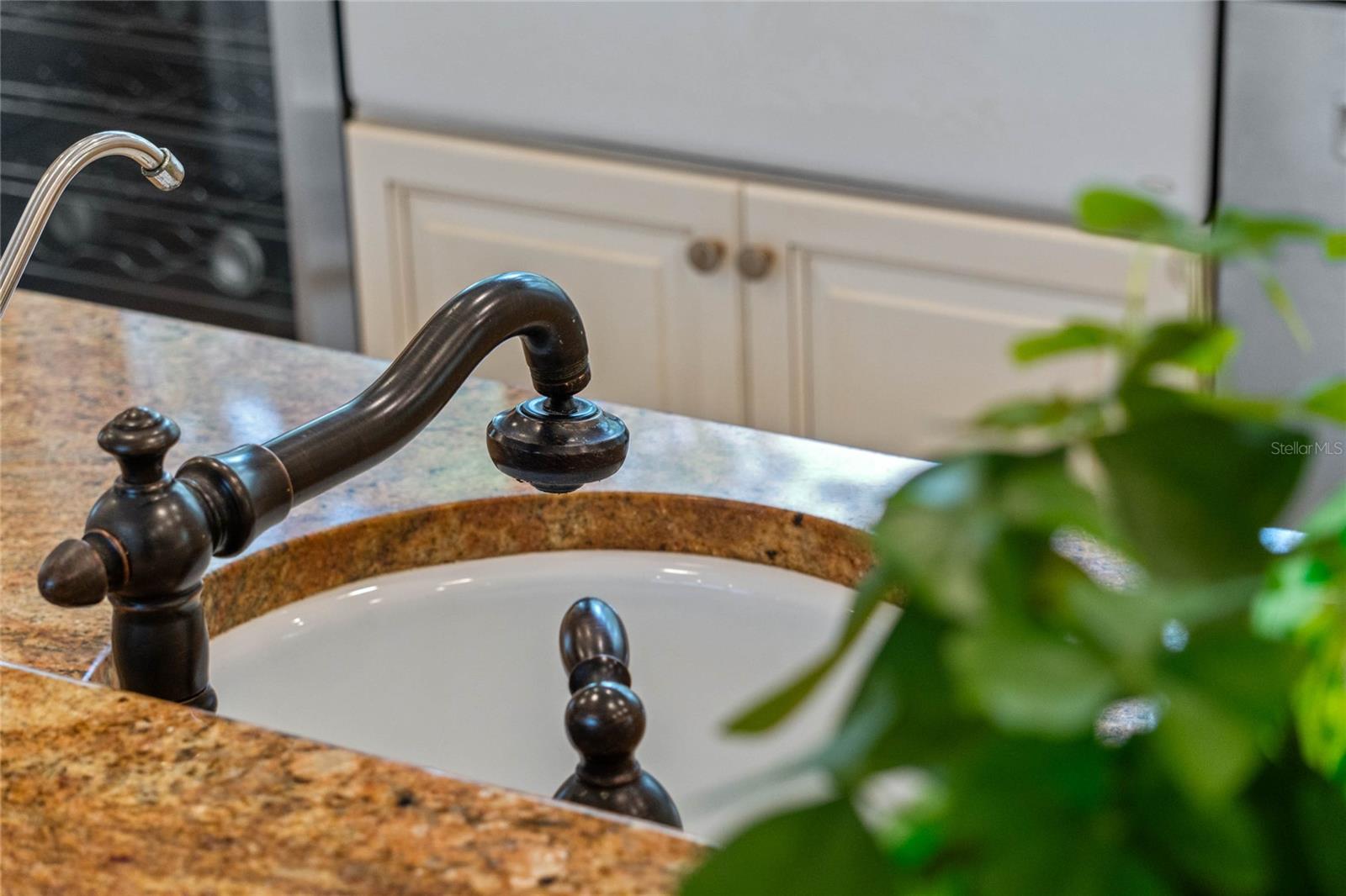 1417 OLYMPIA AVE, MOUNT DORA, FL, 32757