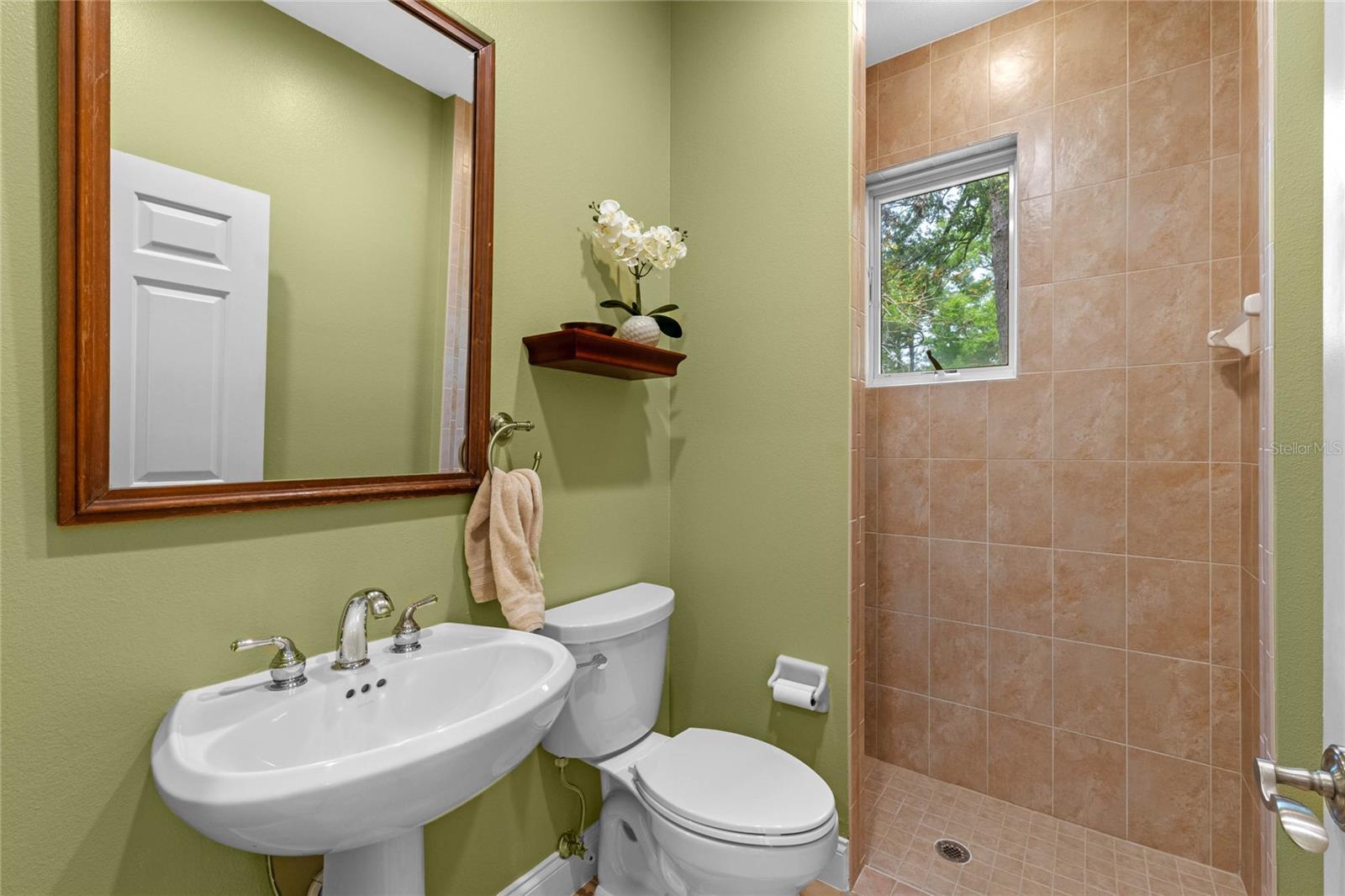 1417 OLYMPIA AVE, MOUNT DORA, FL, 32757