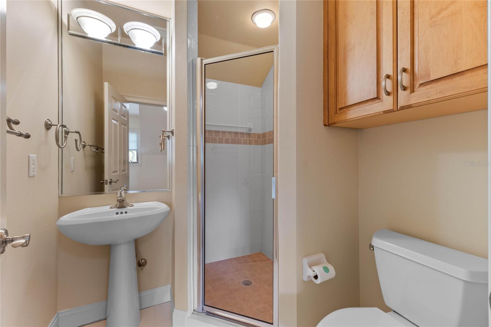 1417 OLYMPIA AVE, MOUNT DORA, FL, 32757