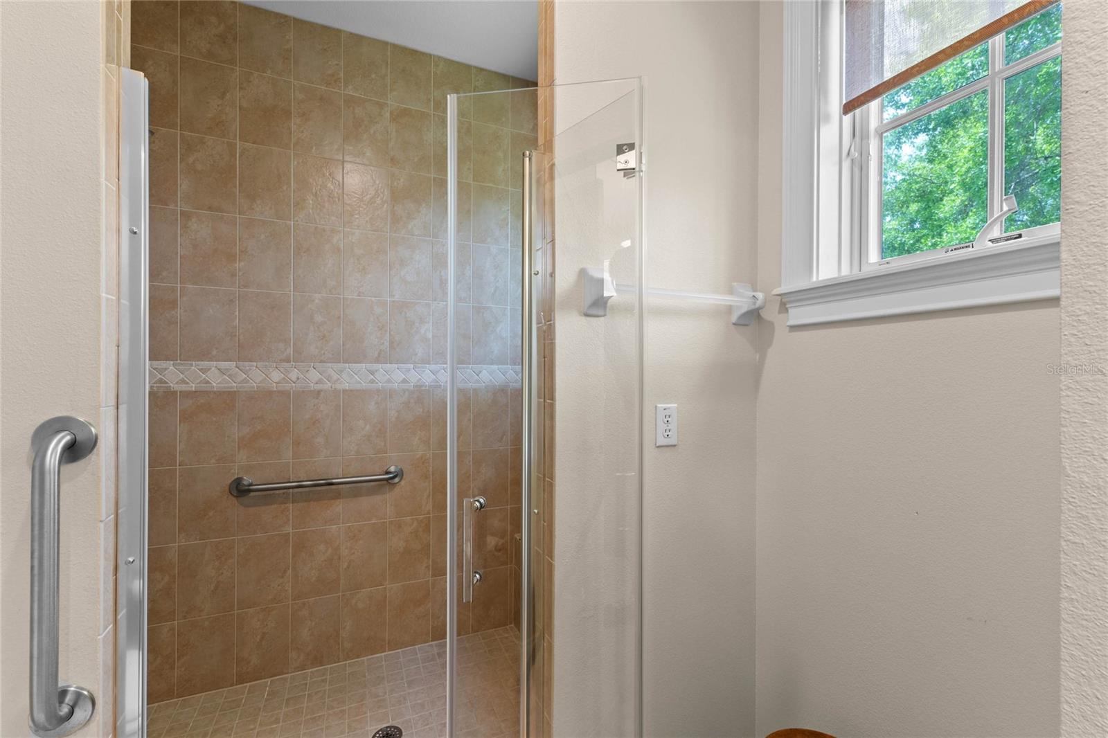 1417 OLYMPIA AVE, MOUNT DORA, FL, 32757