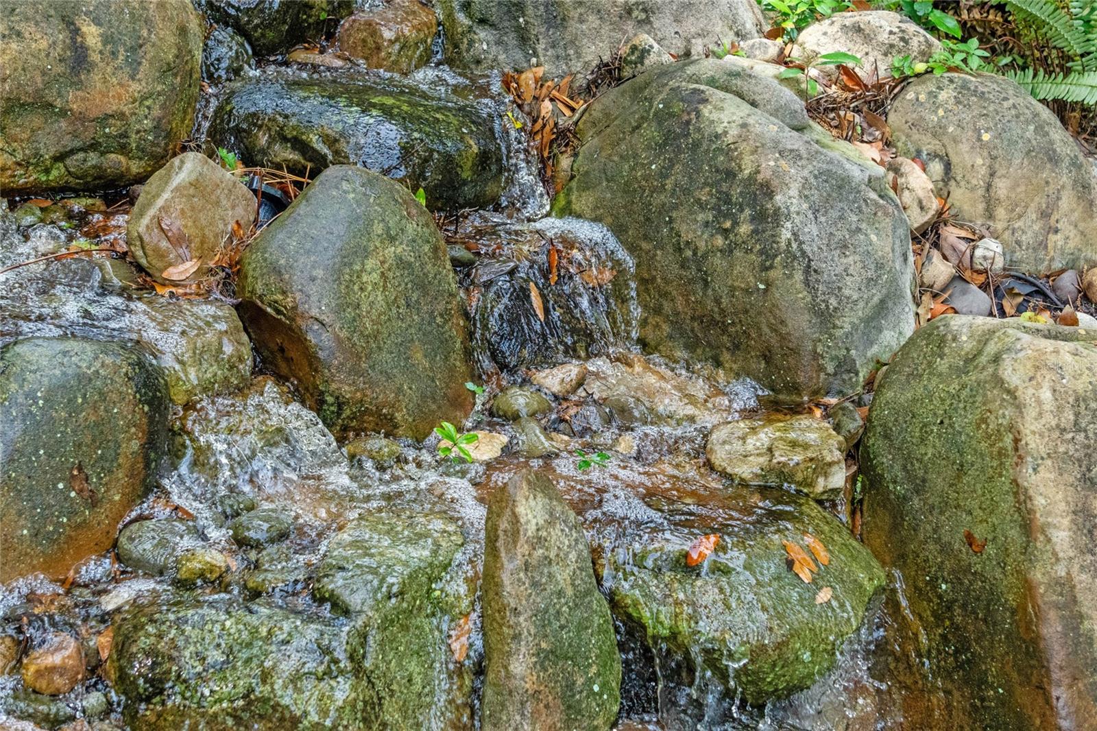 1417 OLYMPIA AVE, MOUNT DORA, FL, 32757