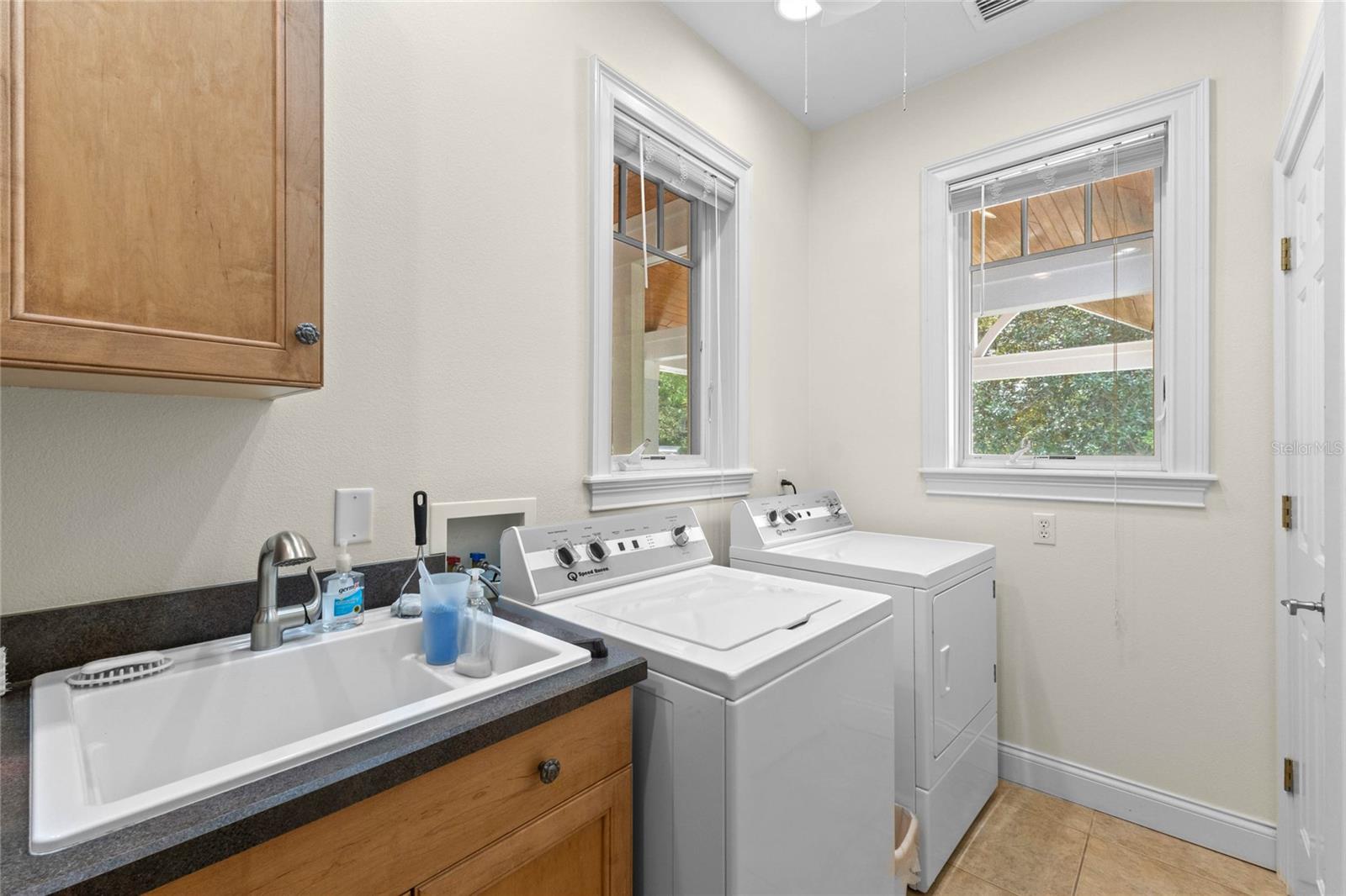 1417 OLYMPIA AVE, MOUNT DORA, FL, 32757