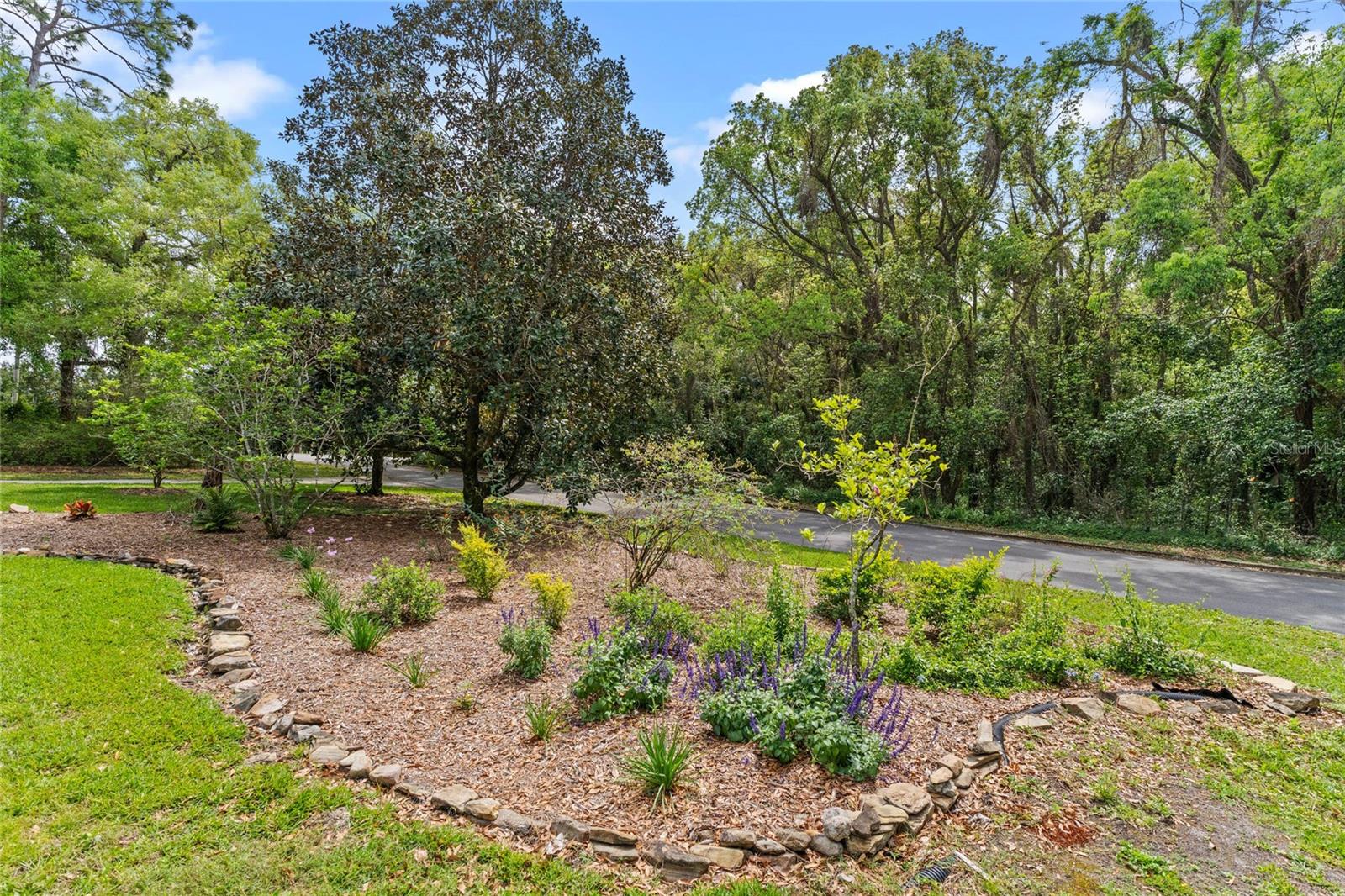 1417 OLYMPIA AVE, MOUNT DORA, FL, 32757