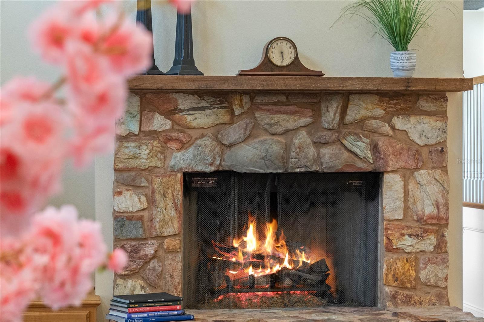 1417 OLYMPIA AVE, MOUNT DORA, FL, 32757