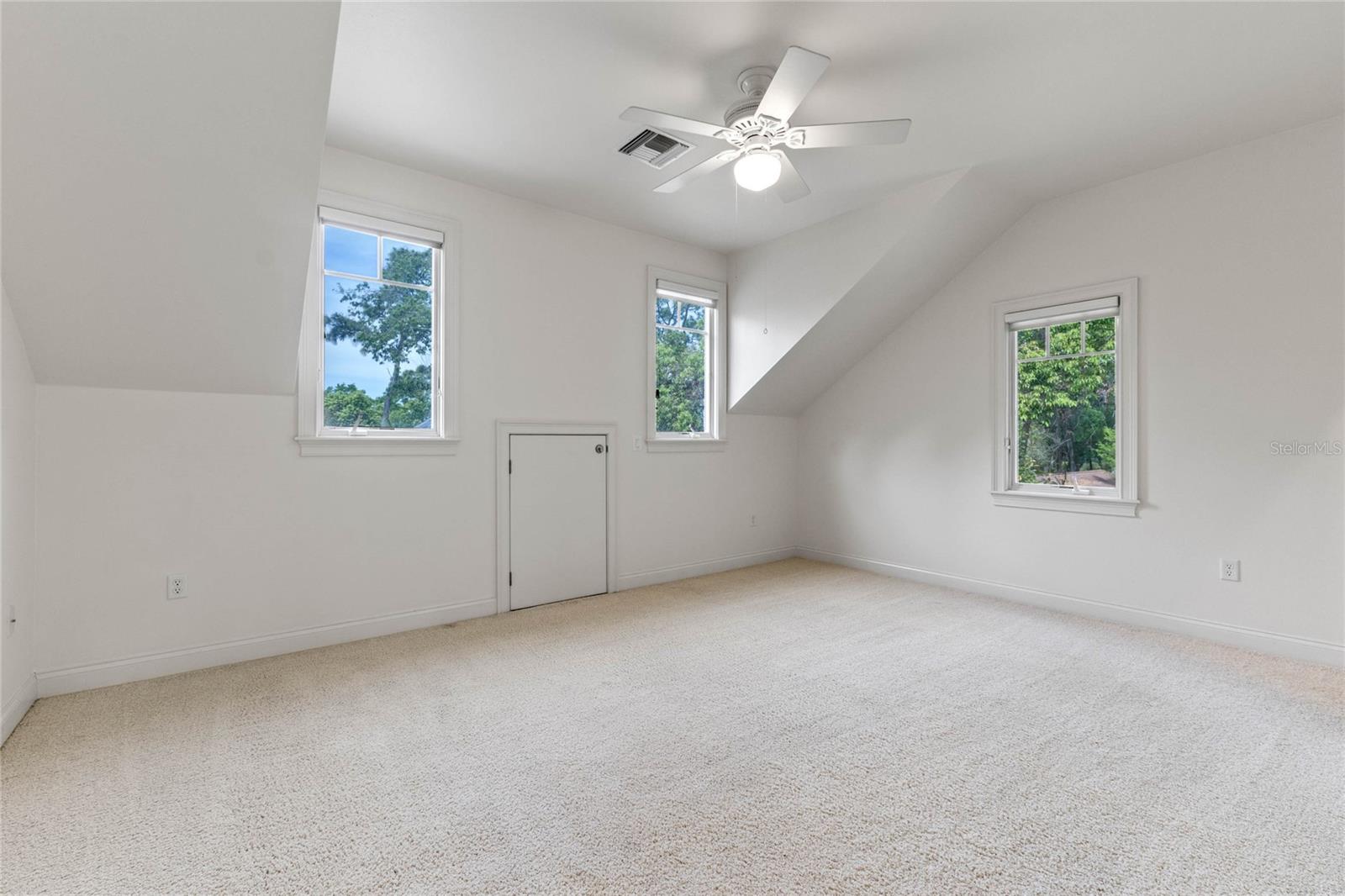 1417 OLYMPIA AVE, MOUNT DORA, FL, 32757