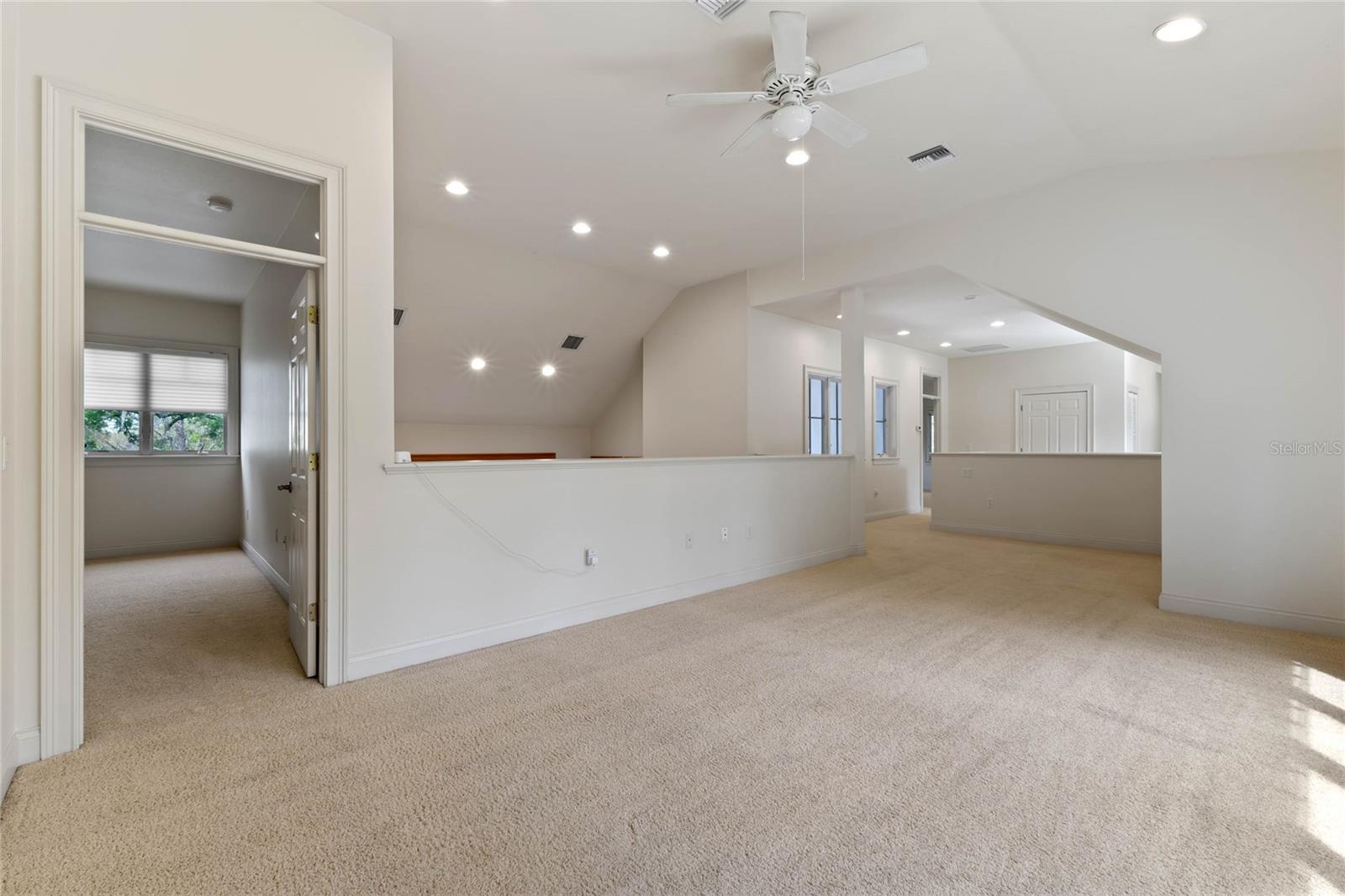 1417 OLYMPIA AVE, MOUNT DORA, FL, 32757