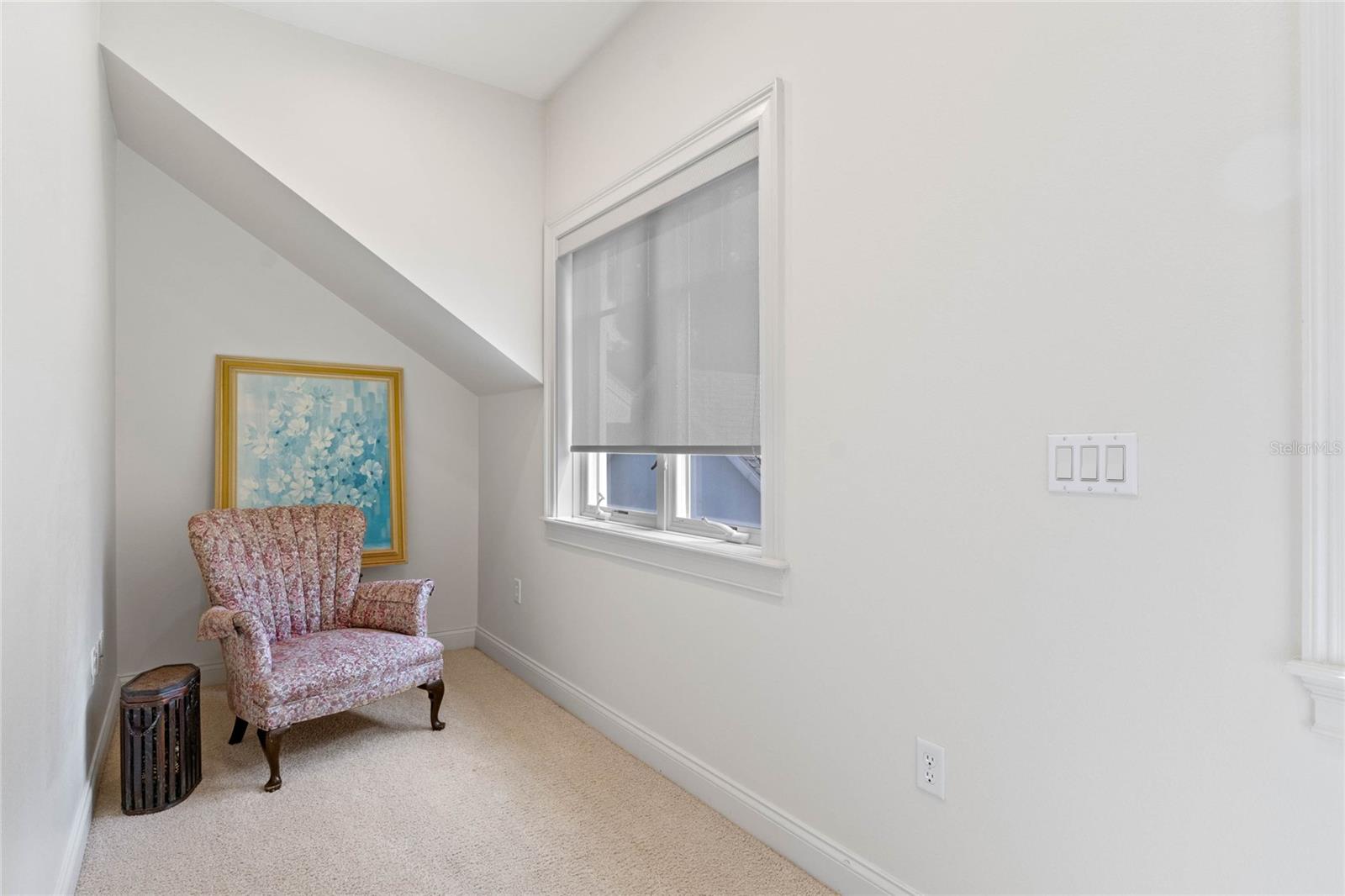 1417 OLYMPIA AVE, MOUNT DORA, FL, 32757