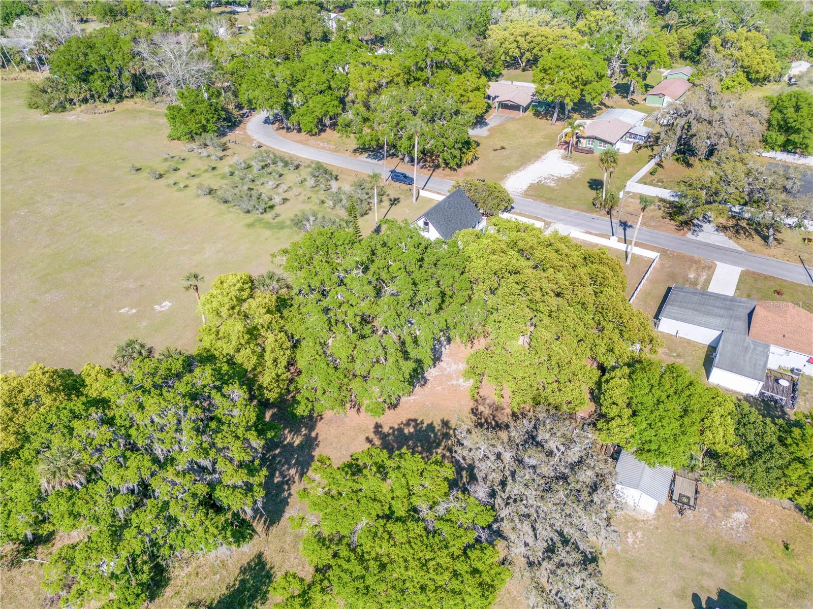 182 HOWES ST, OAK HILL, FL, 32759