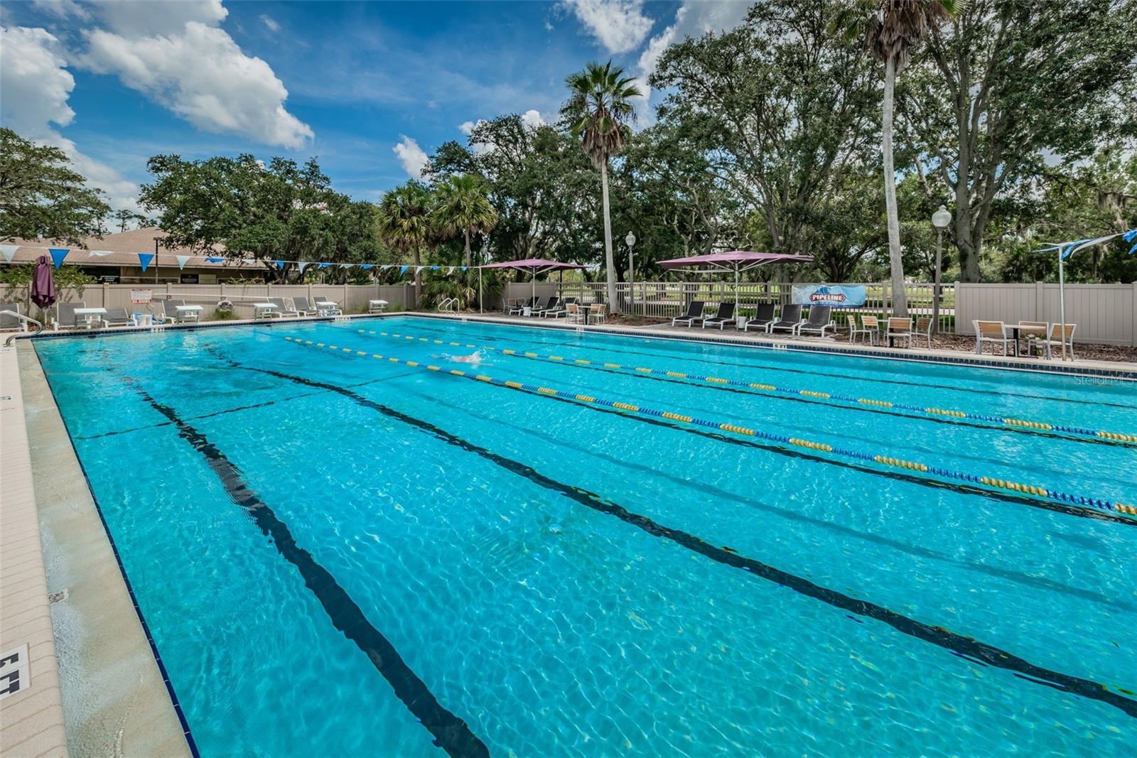 40 GRETCHEN CT, OLDSMAR, FL, 34677