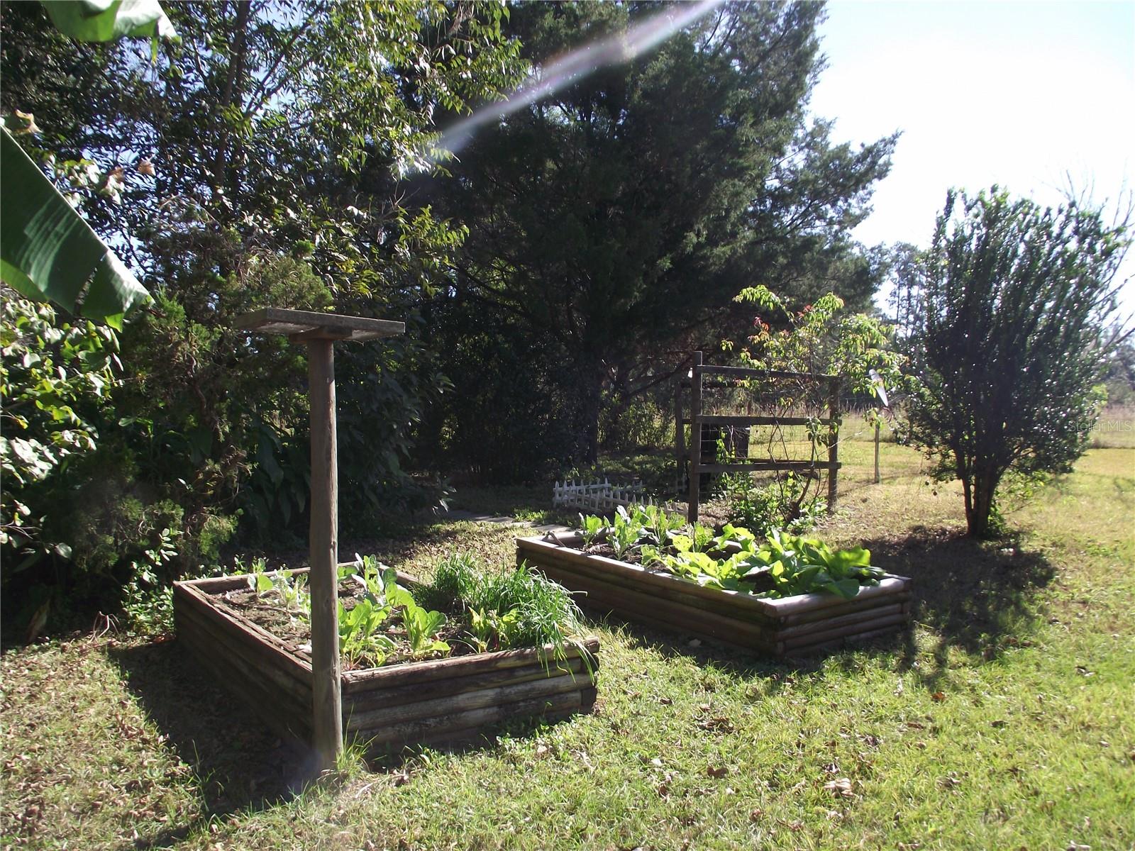 10515  NW 161ST  ST, ALACHUA, FL, 32615