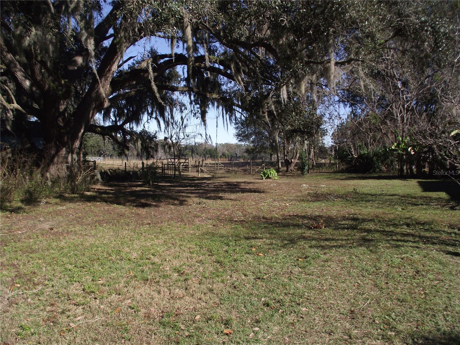 10515  NW 161ST  ST, ALACHUA, FL, 32615