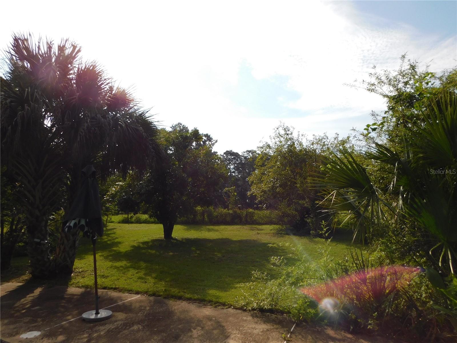 10515  NW 161ST  ST, ALACHUA, FL, 32615
