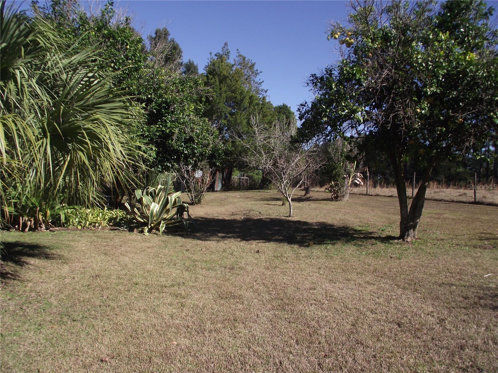 10515  NW 161ST  ST, ALACHUA, FL, 32615
