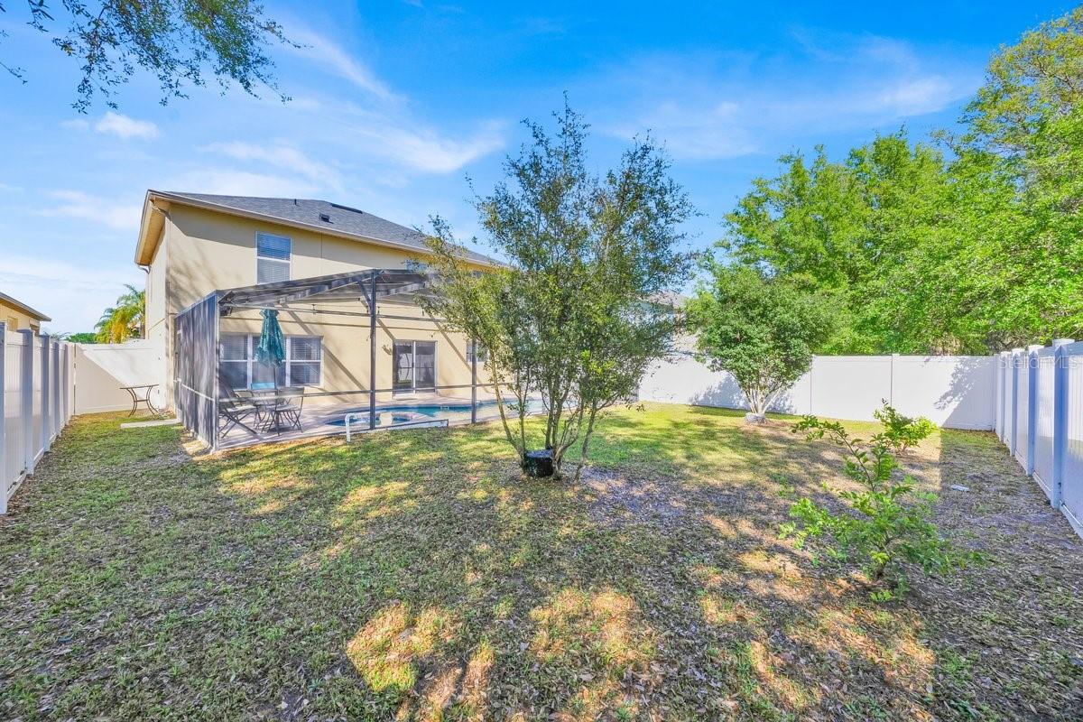 16844 RISING STAR DR, CLERMONT, FL, 34714