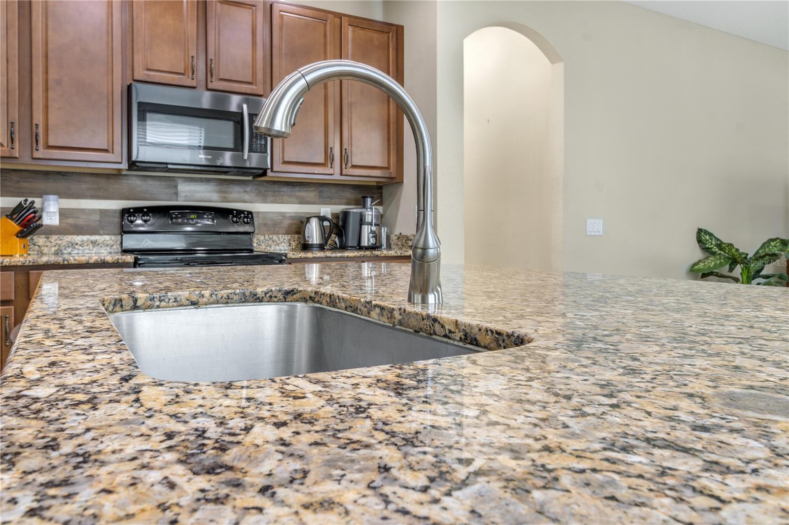 11638 PALMETTO PINE ST, RIVERVIEW, FL, 33569