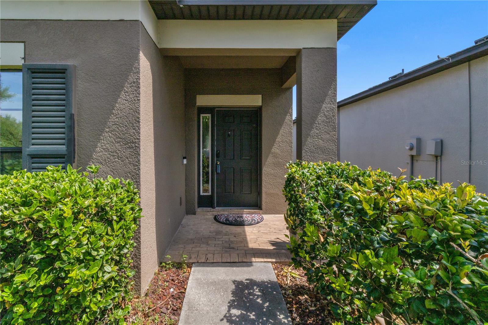 11638 PALMETTO PINE ST, RIVERVIEW, FL, 33569