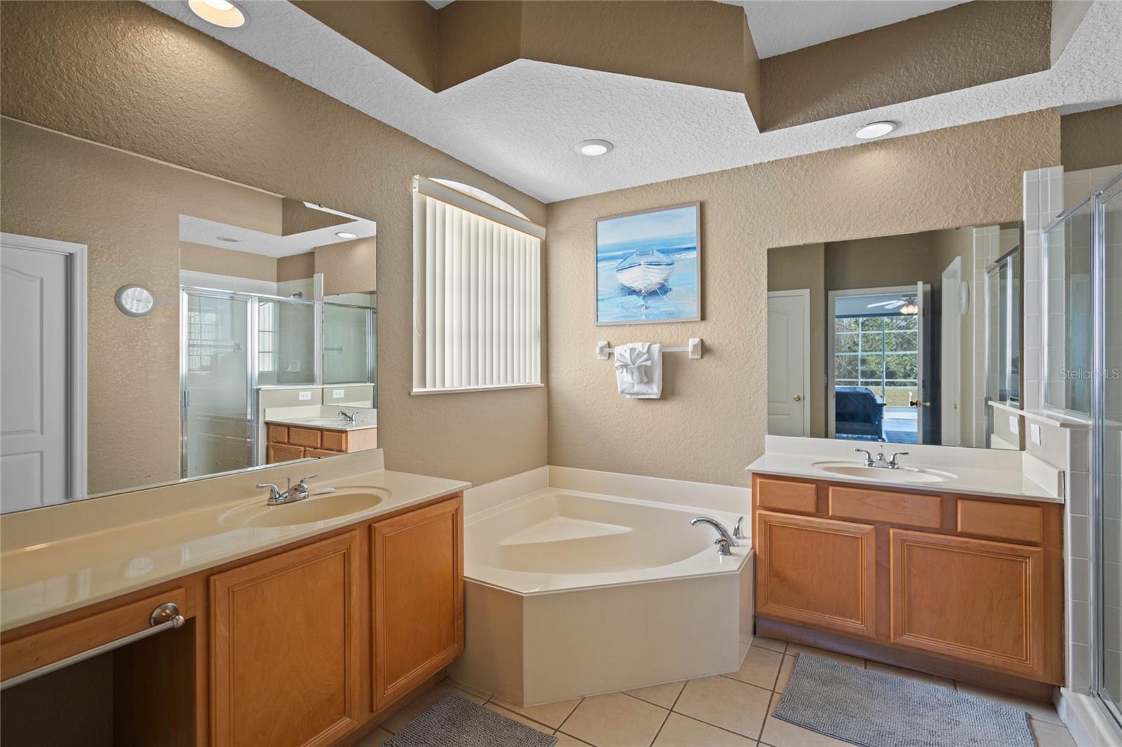 311 BIRKDALE ST, DAVENPORT, FL, 33897