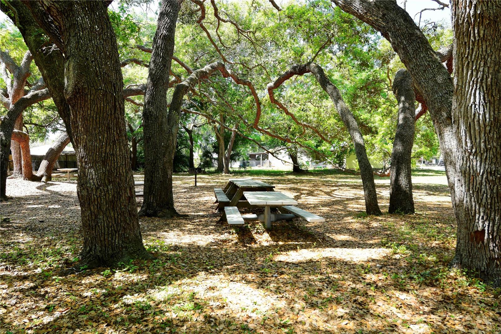 2739A TEMPLE ST, SARASOTA, FL, 34239