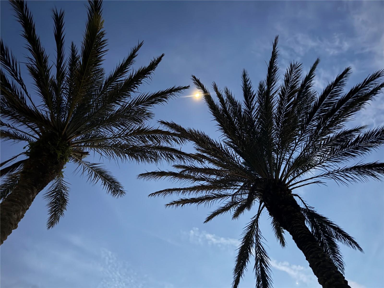 12272 STUART DR, VENICE, FL, 34293