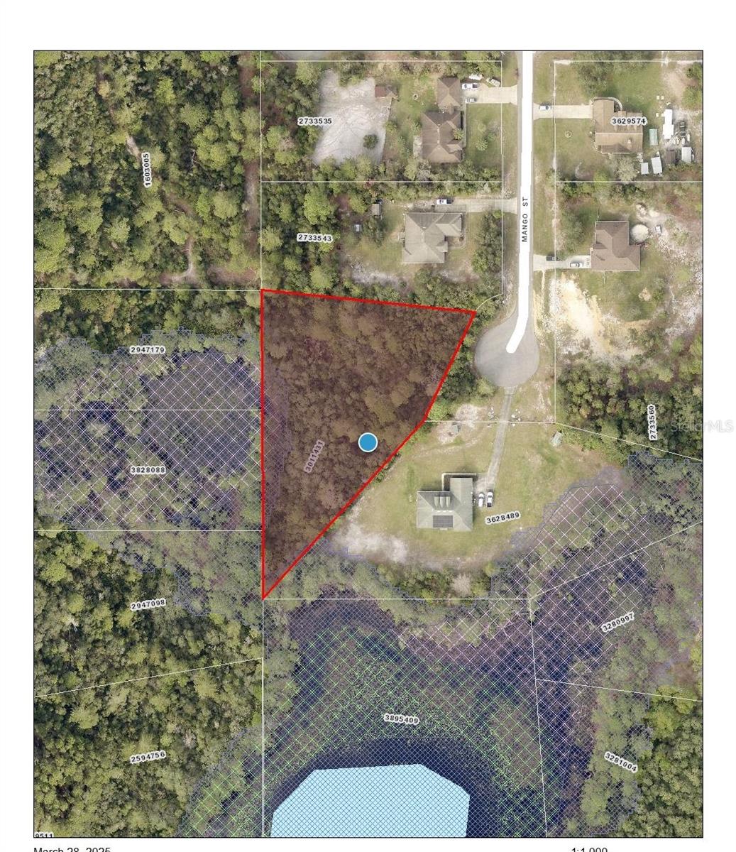 MANGO ST, EUSTIS, FL, 32736