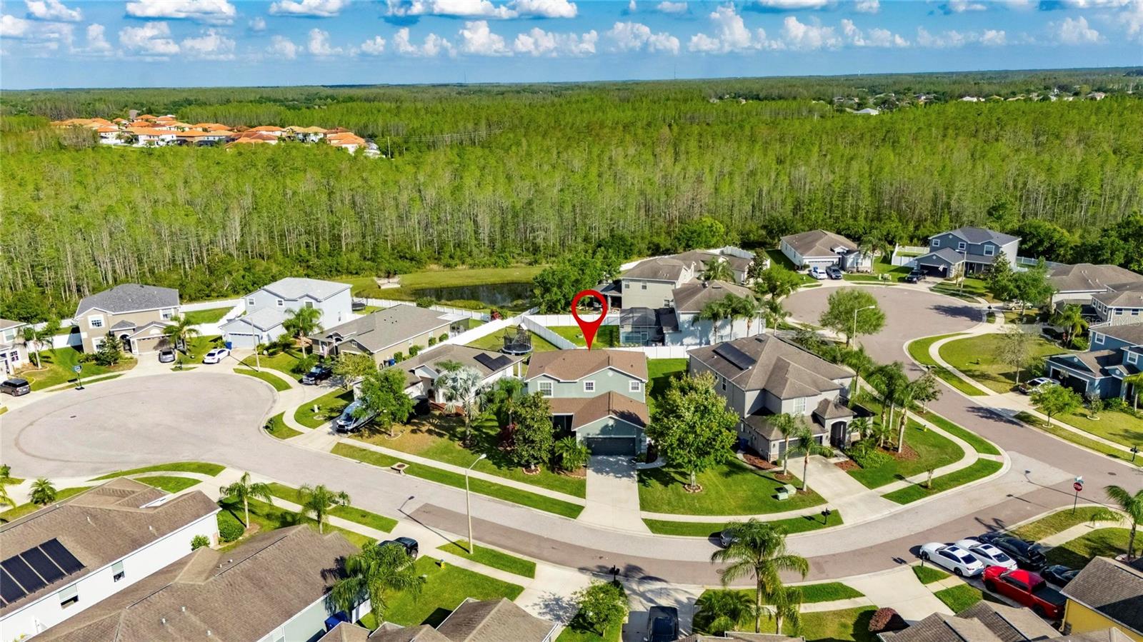 18734 BURNDALL CT, LAND O LAKES, FL, 34638