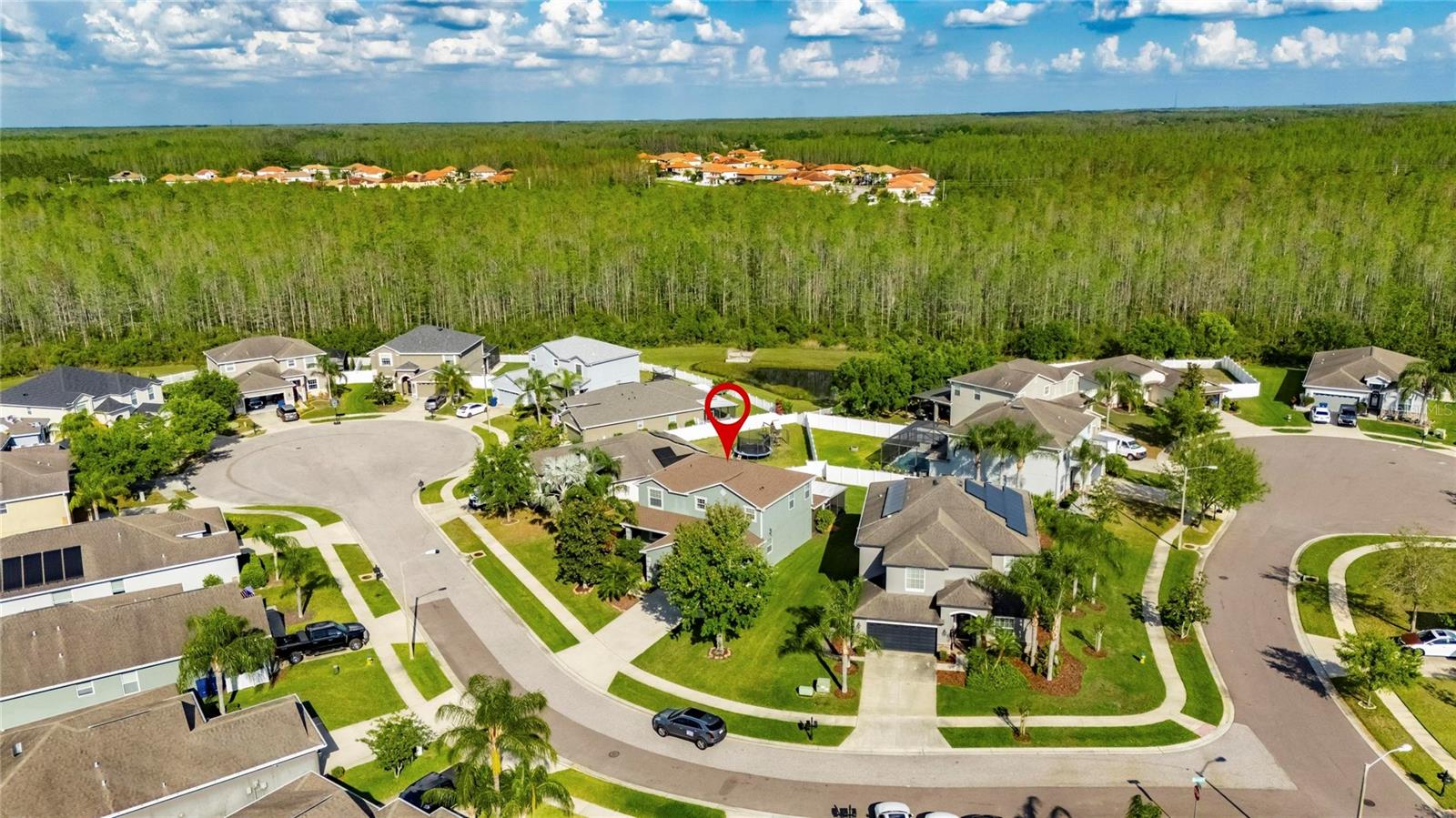 18734 BURNDALL CT, LAND O LAKES, FL, 34638