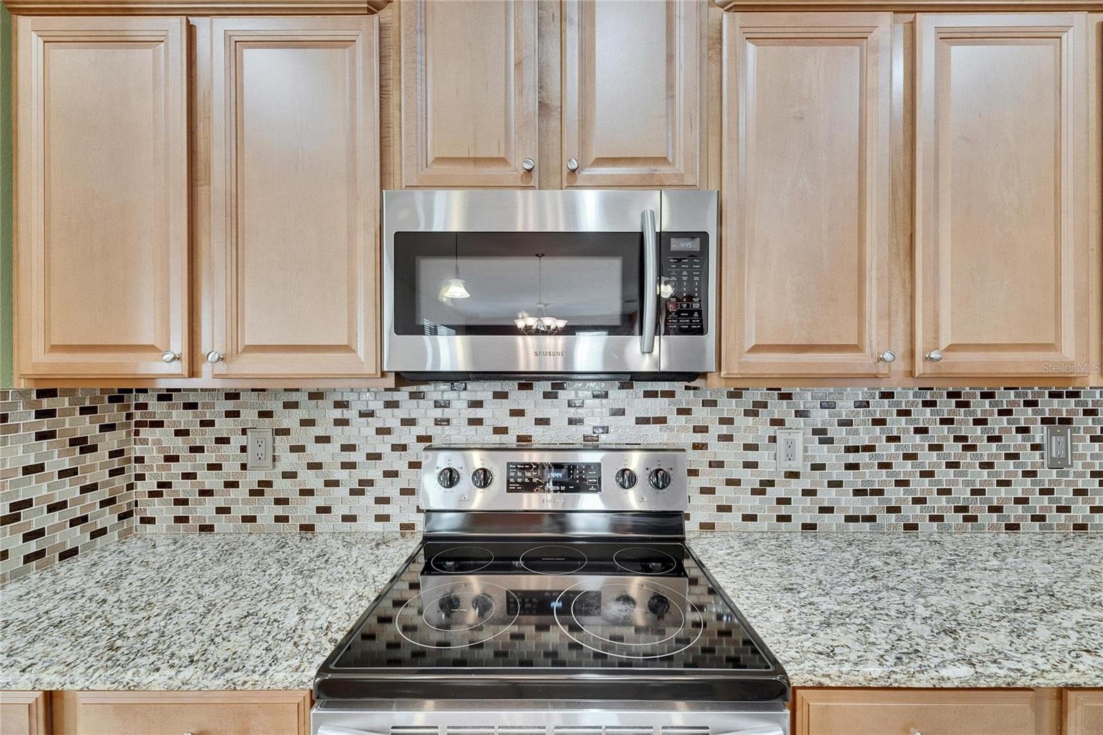 18734 BURNDALL CT, LAND O LAKES, FL, 34638