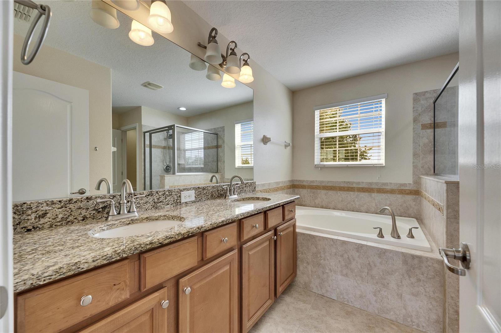 18734 BURNDALL CT, LAND O LAKES, FL, 34638