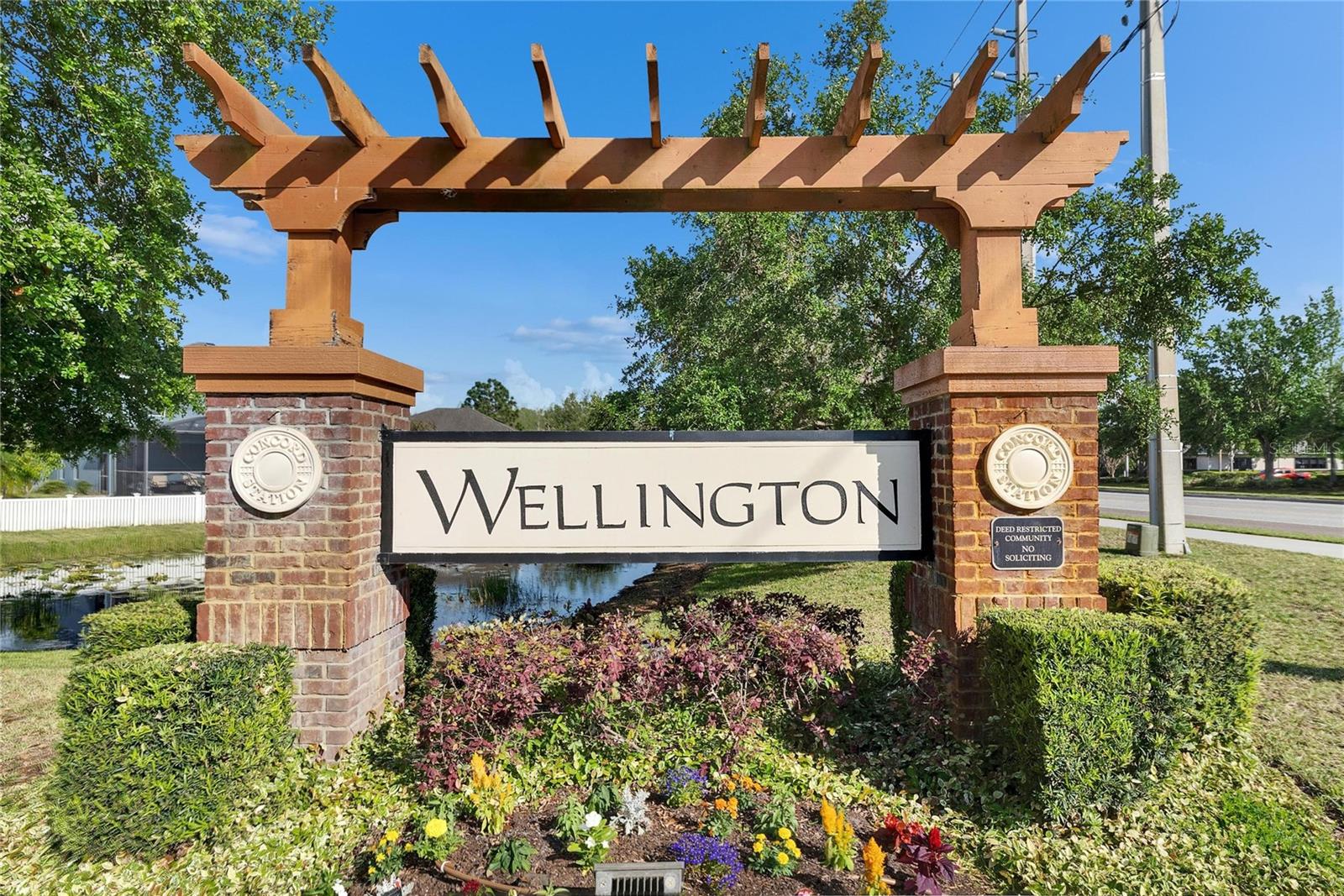 18734 BURNDALL CT, LAND O LAKES, FL, 34638