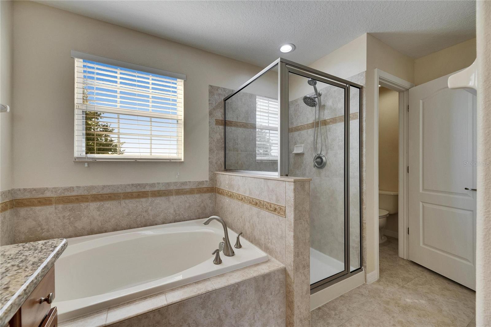 18734 BURNDALL CT, LAND O LAKES, FL, 34638