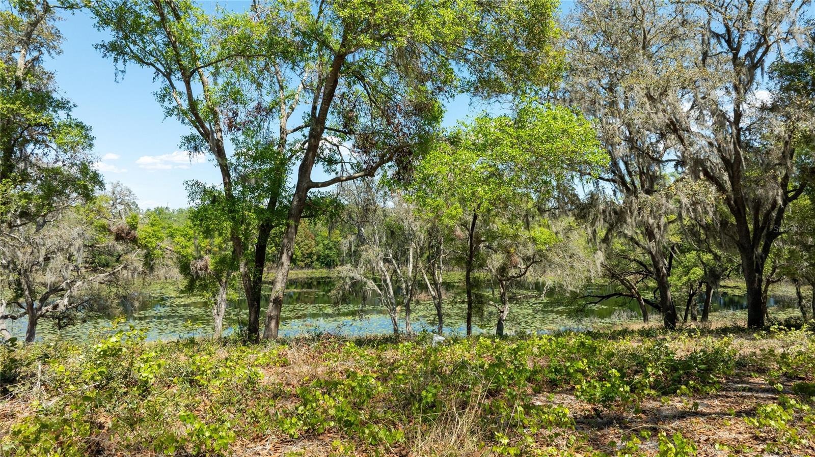 0 SE 165TH AVE, WEIRSDALE, FL, 32195