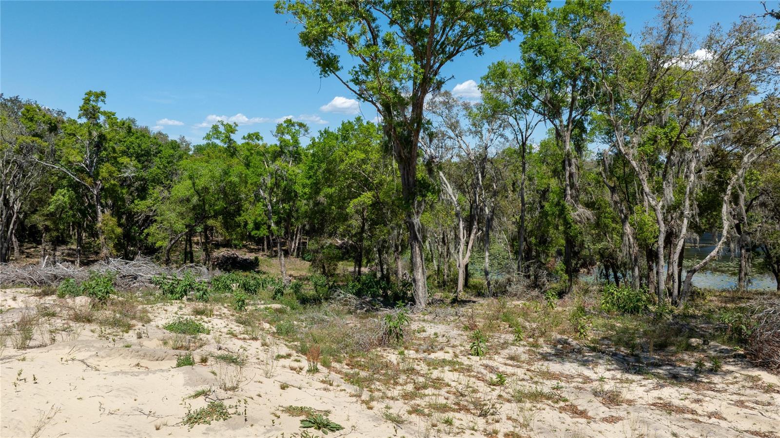 0 SE 165TH AVE, WEIRSDALE, FL, 32195