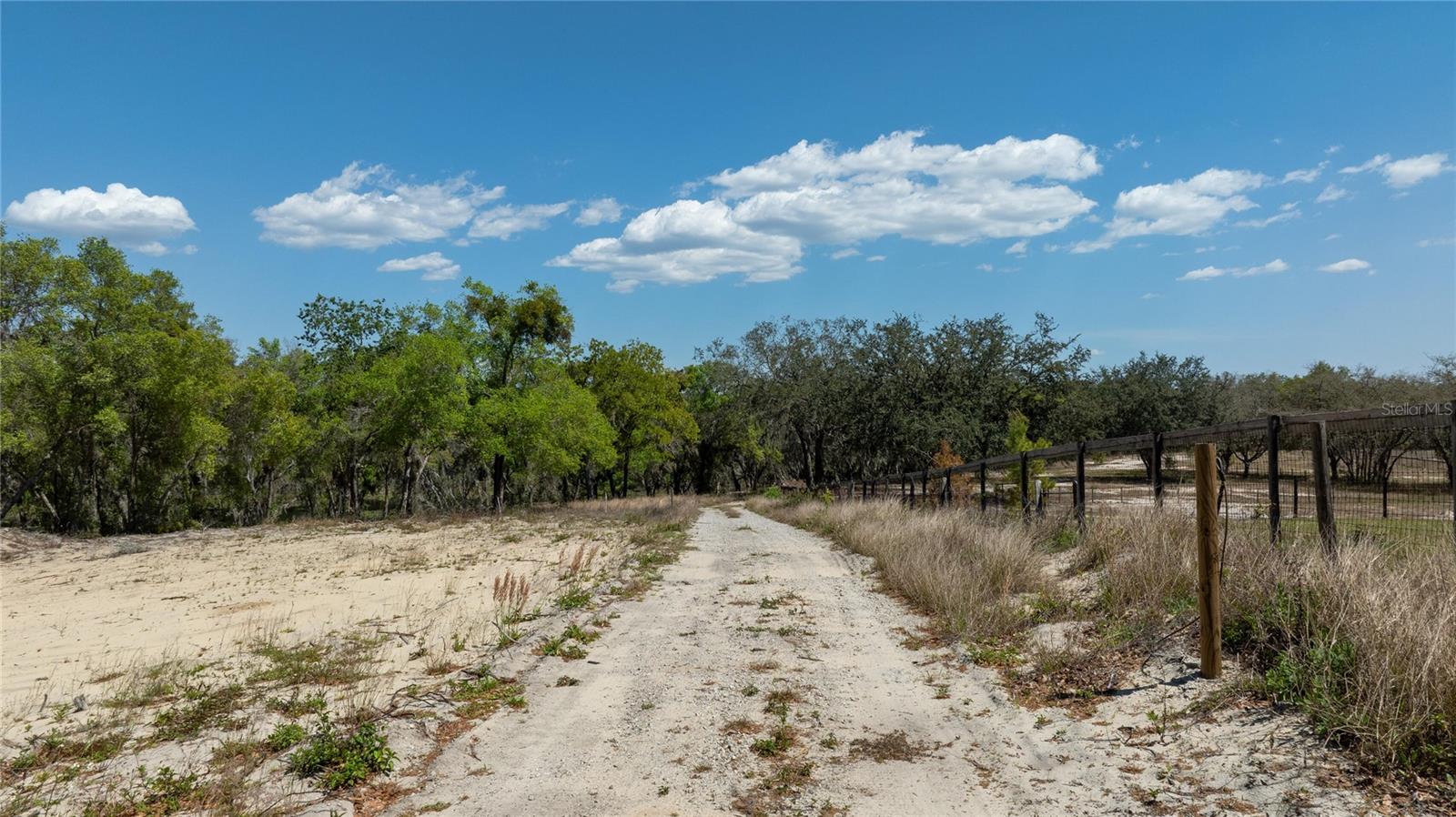 0 SE 165TH AVE, WEIRSDALE, FL, 32195
