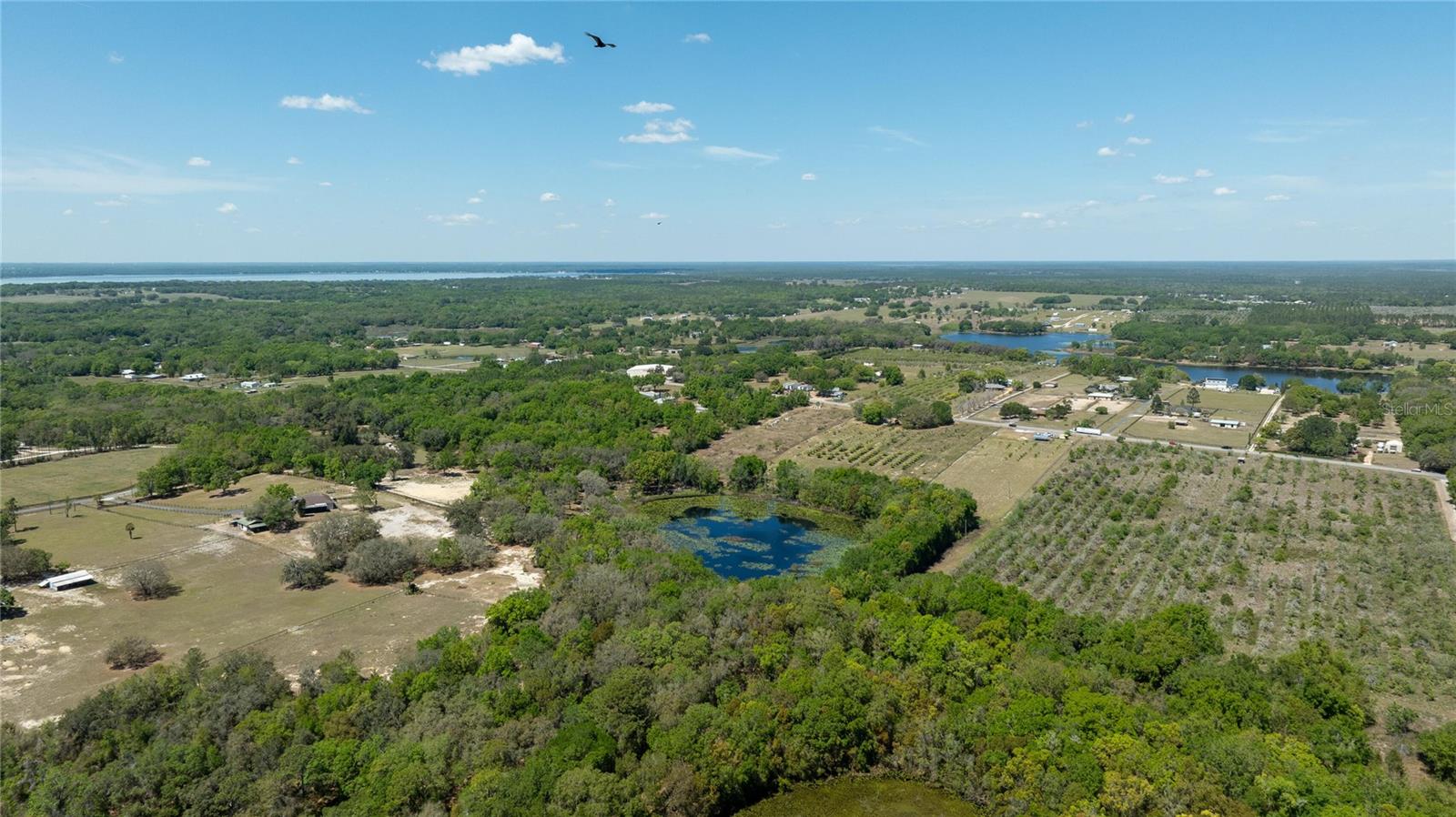 0 SE 165TH AVE, WEIRSDALE, FL, 32195