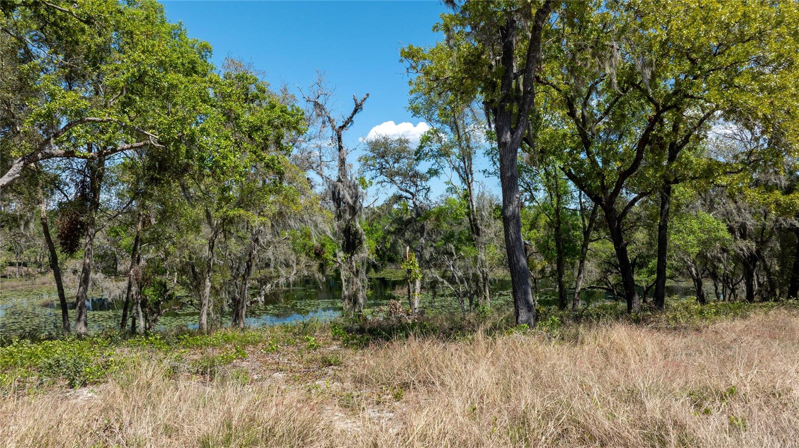 0 SE 165TH AVE, WEIRSDALE, FL, 32195