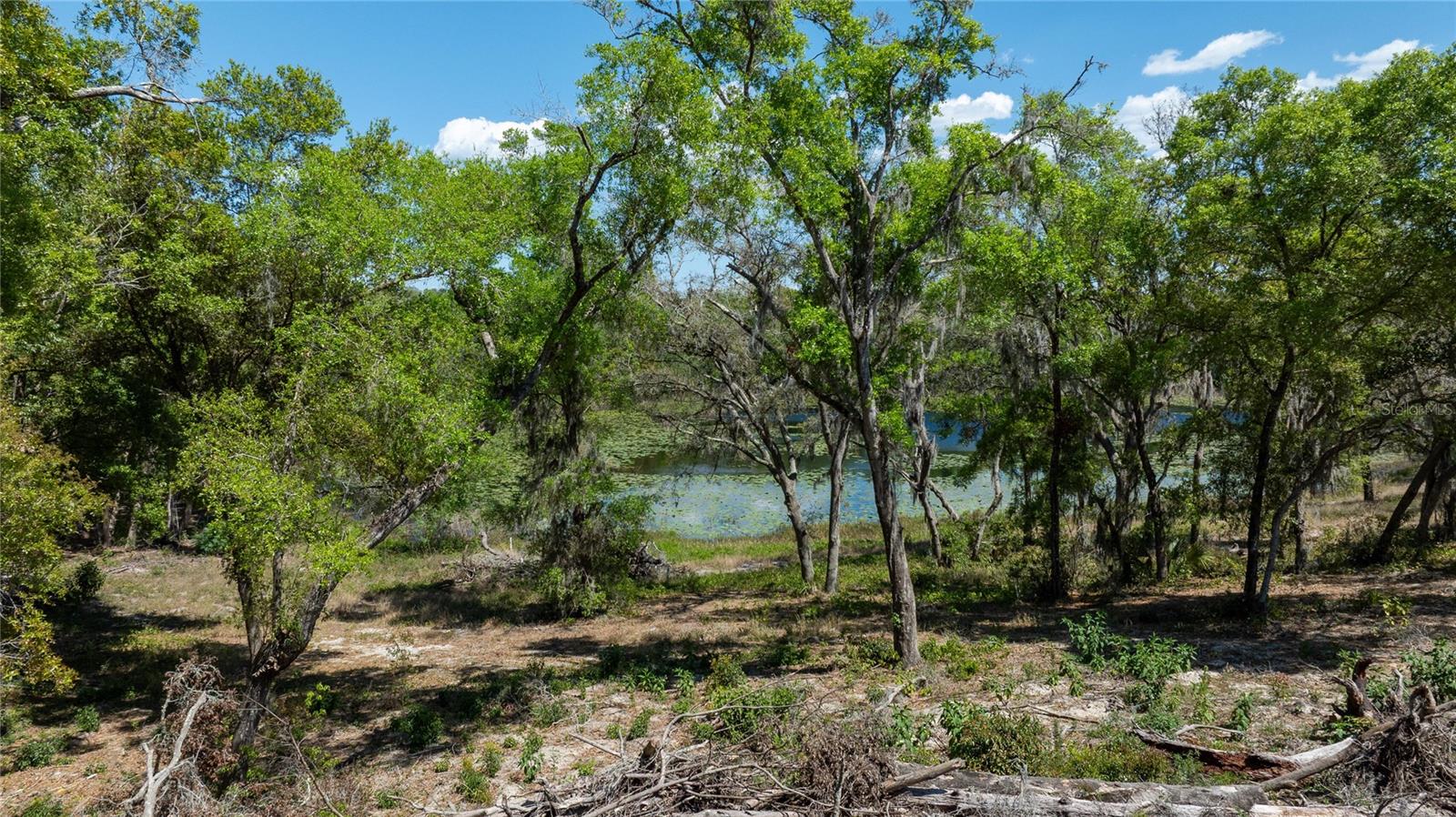 0 SE 165TH AVE, WEIRSDALE, FL, 32195