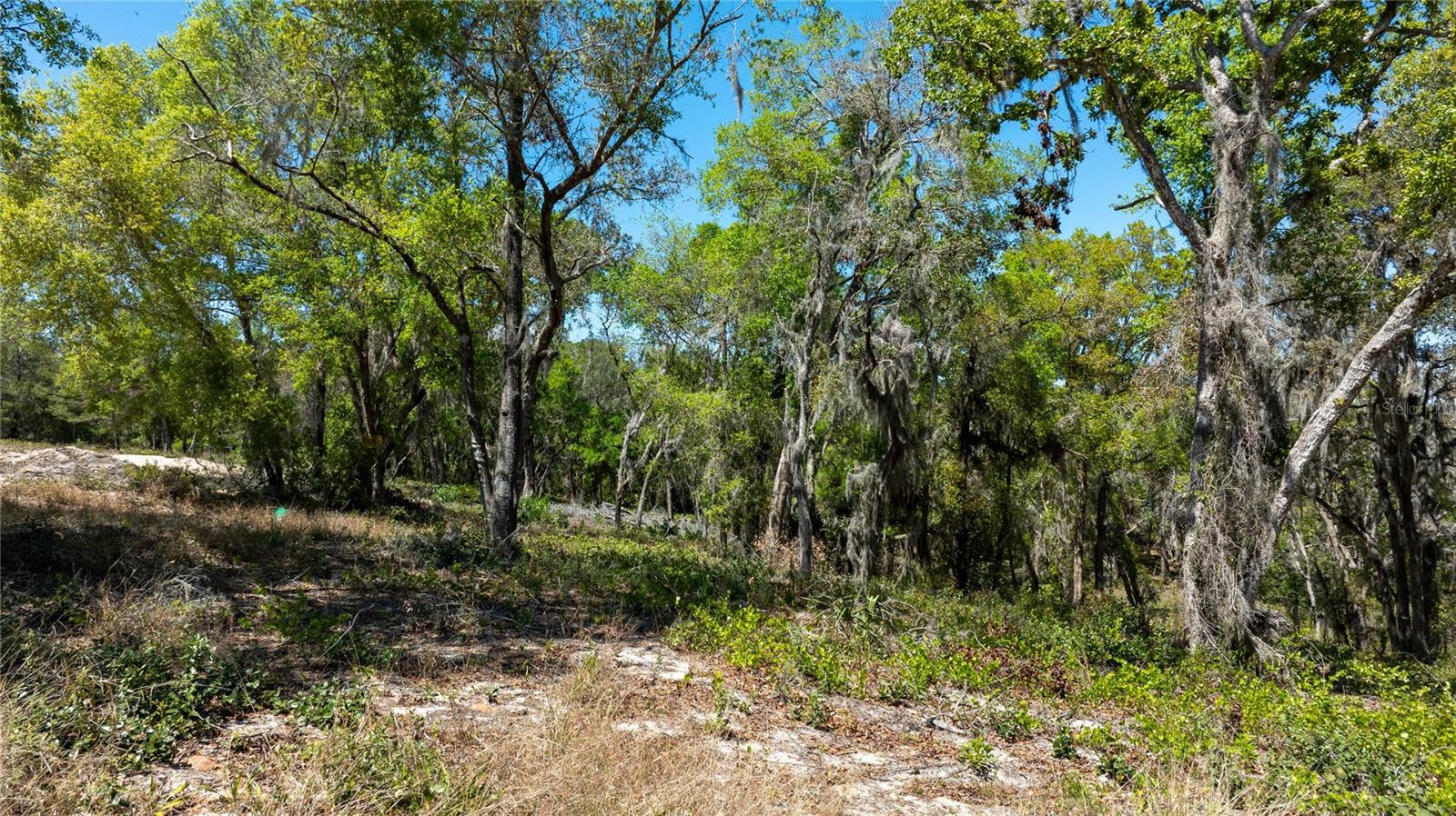 0 SE 165TH AVE, WEIRSDALE, FL, 32195